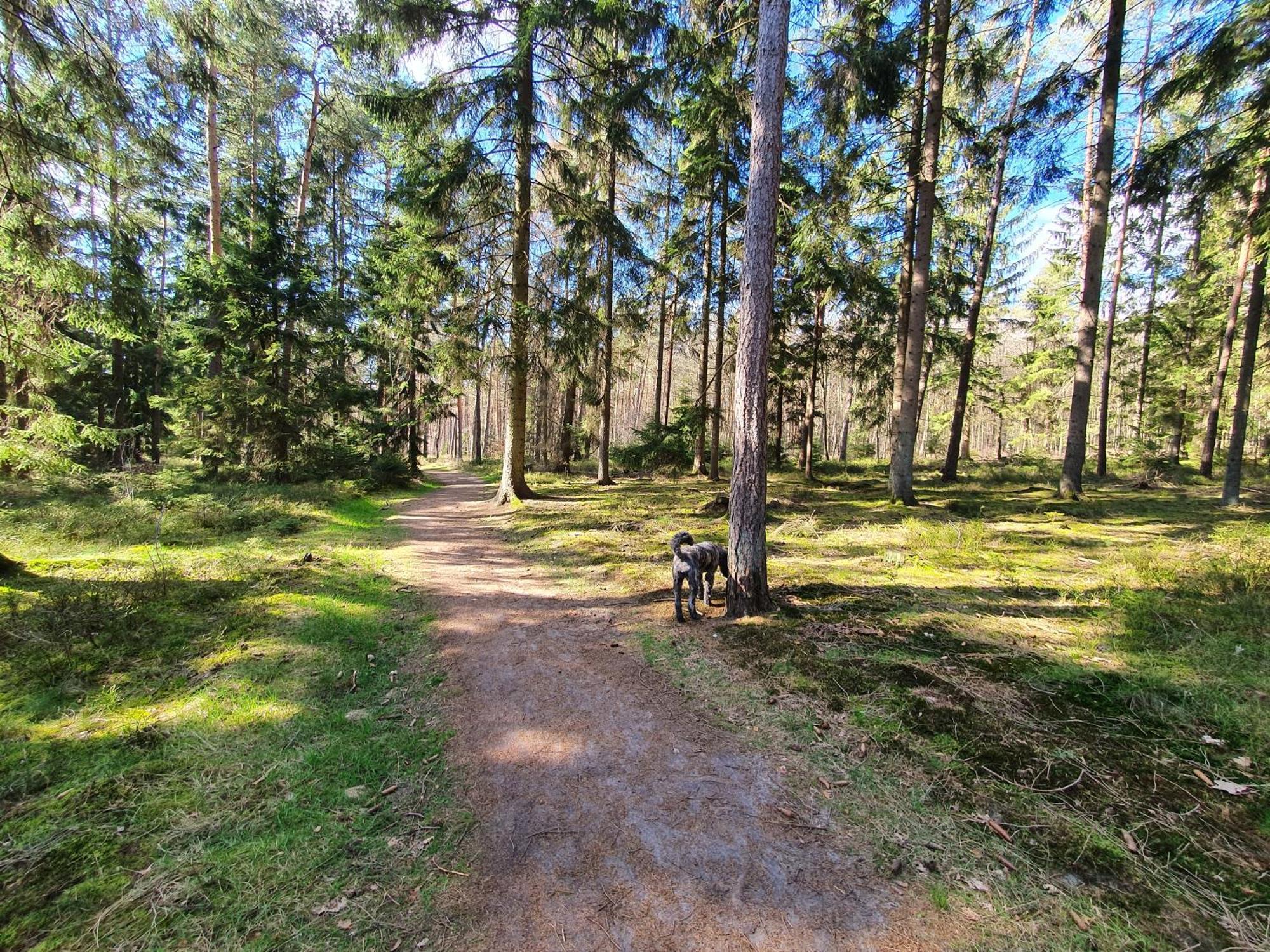 Ferienwohnung Schuberski Lipperreihe Luaran gambar